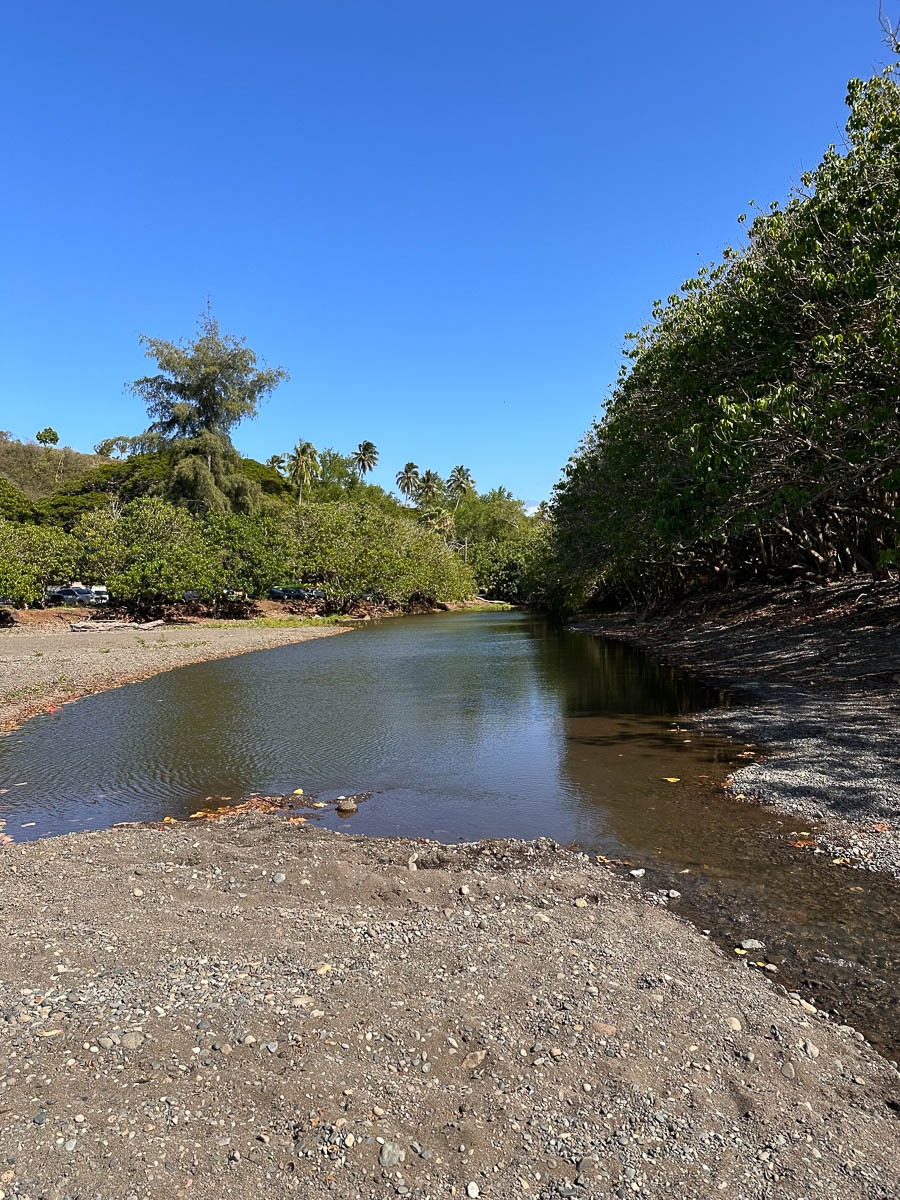 na-maka-o-maliko-picture-documentation-1-2026-high-res-14